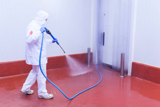 Pre-Holiday Cleaning in Doe Valley, KY